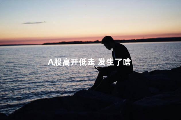 A股高开低走 发生了啥